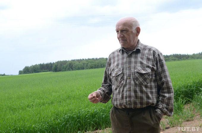 Конфликт в Молодечненском районе: к хутору из трех домов собираются строить четвертую дорогу (фото)