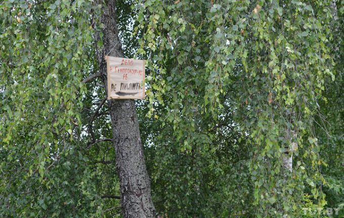 Конфликт в Молодечненском районе: к хутору из трех домов собираются строить четвертую дорогу (фото)