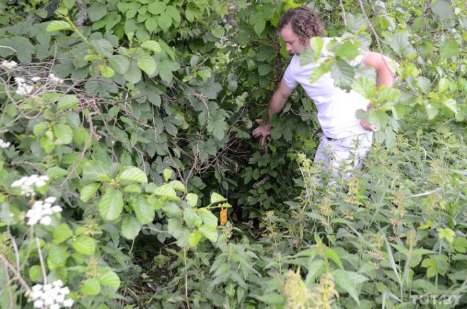 Конфликт в Молодечненском районе: к хутору из трех домов собираются строить четвертую дорогу (фото)