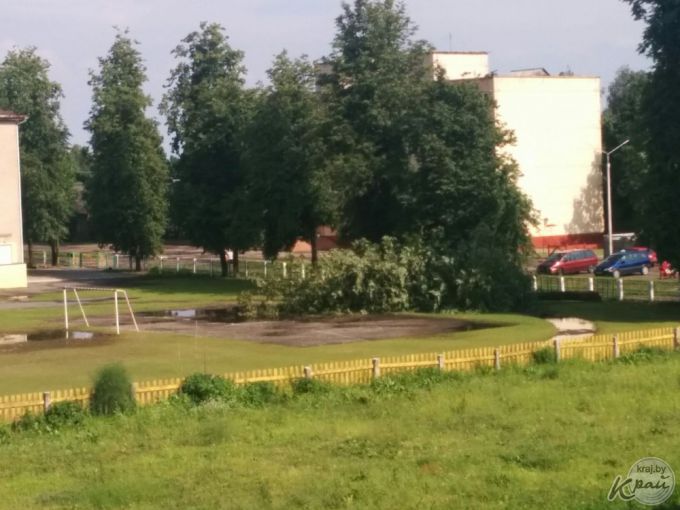 Более 30 поврежденных крыш и 5 га поваленного леса – последствия стихии в Вилейском районе (фото, видео)
