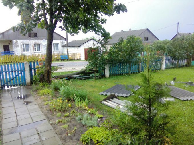 Более 30 поврежденных крыш и 5 га поваленного леса – последствия стихии в Вилейском районе (фото, видео)