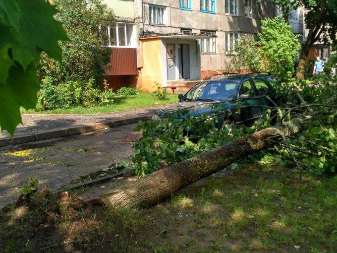 Более 30 поврежденных крыш и 5 га поваленного леса – последствия стихии в Вилейском районе (фото, видео)
