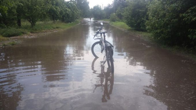 Более 30 поврежденных крыш и 5 га поваленного леса – последствия стихии в Вилейском районе (фото, видео)