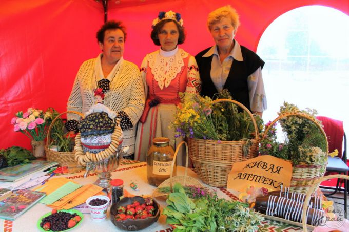 Выставка собак, картины в грузовике и много музыки. В Вилейке прошел фестиваль субкультур «Энергия молодости» (фото)