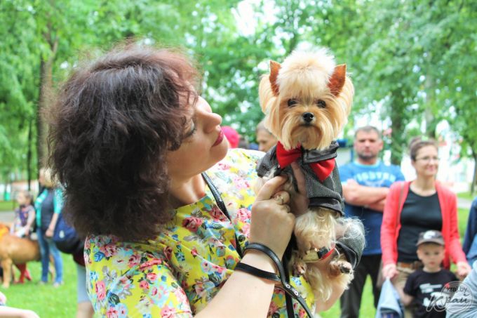 Выставка собак, картины в грузовике и много музыки. В Вилейке прошел фестиваль субкультур «Энергия молодости» (фото)