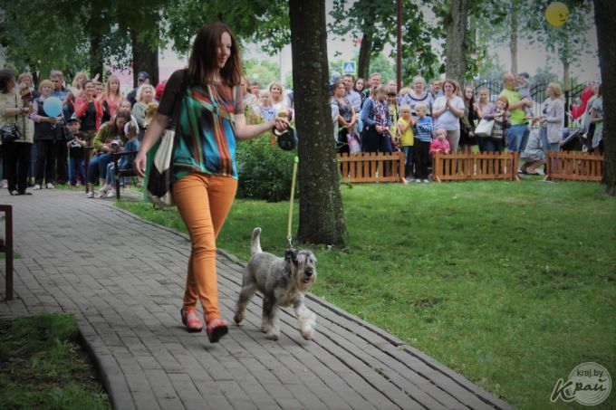 Самый модный – ши-тцу, самый дрессированный – бурбуль. В Вилейке прошло собачье шоу «Догги-парк» (фото)