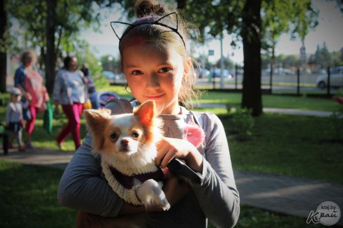 Самый модный – ши-тцу, самый дрессированный – бурбуль. В Вилейке прошло собачье шоу «Догги-парк» (фото)