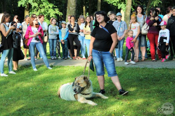 Самый модный – ши-тцу, самый дрессированный – бурбуль. В Вилейке прошло собачье шоу «Догги-парк» (фото)