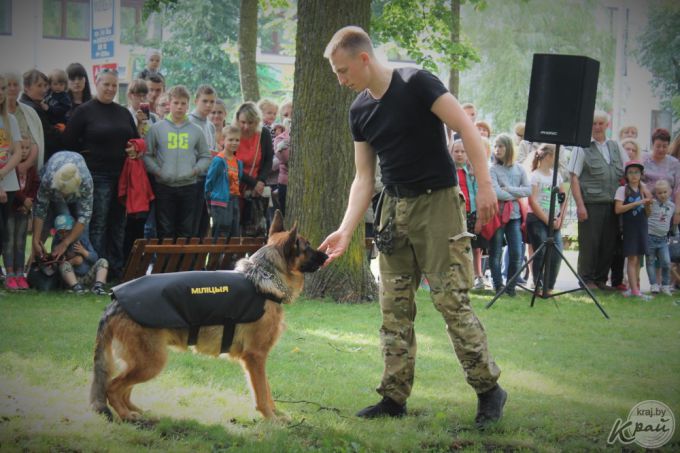 Самый модный – ши-тцу, самый дрессированный – бурбуль. В Вилейке прошло собачье шоу «Догги-парк» (фото)