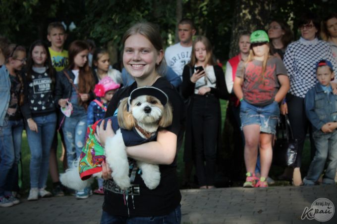Самый модный – ши-тцу, самый дрессированный – бурбуль. В Вилейке прошло собачье шоу «Догги-парк» (фото)
