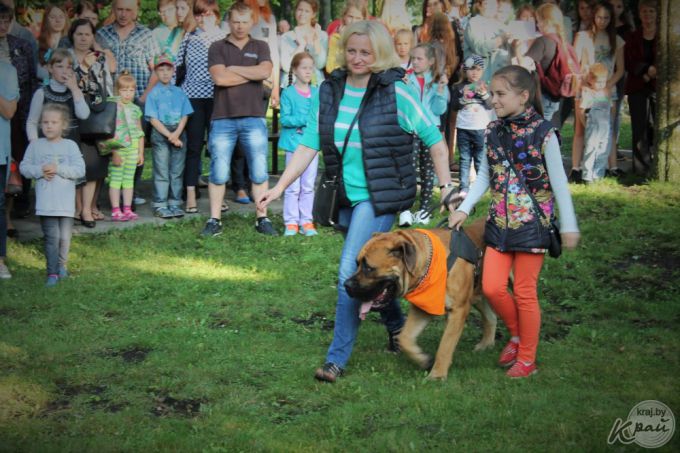 Самый модный – ши-тцу, самый дрессированный – бурбуль. В Вилейке прошло собачье шоу «Догги-парк» (фото)
