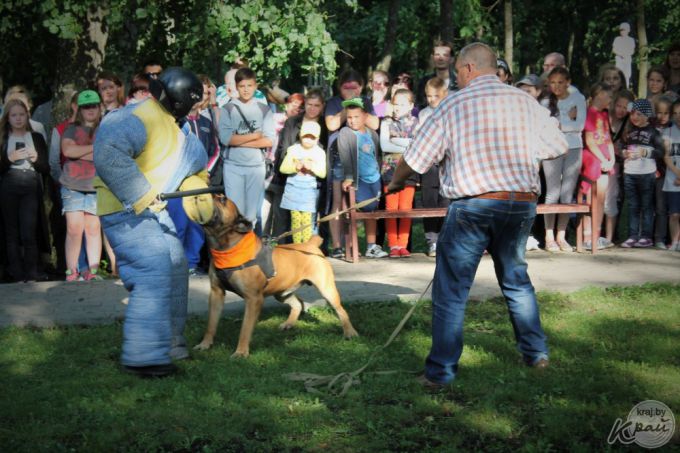 Самый модный – ши-тцу, самый дрессированный – бурбуль. В Вилейке прошло собачье шоу «Догги-парк» (фото)