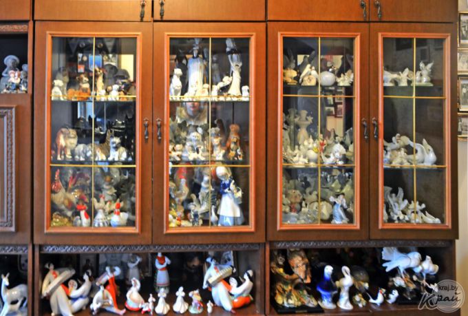 Хобби как образ жизни. Дмитрий Холодинский из Молодечно – страстный птицевод-любитель (фото)