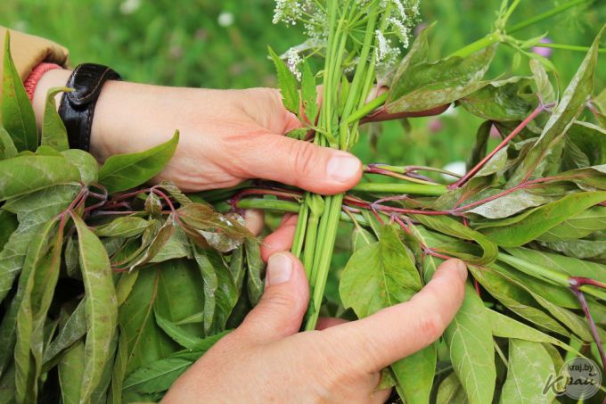 Чем пышнее, тем лучше. Три совета, как сплести купальский венок (фото)