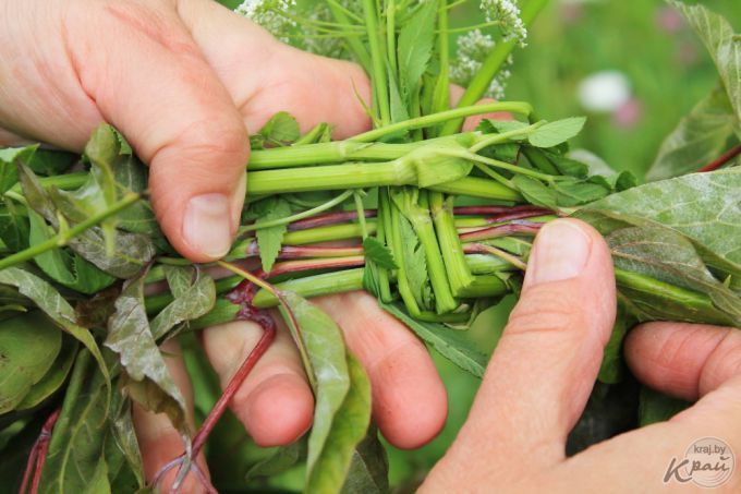 Чем пышнее, тем лучше. Три совета, как сплести купальский венок (фото)