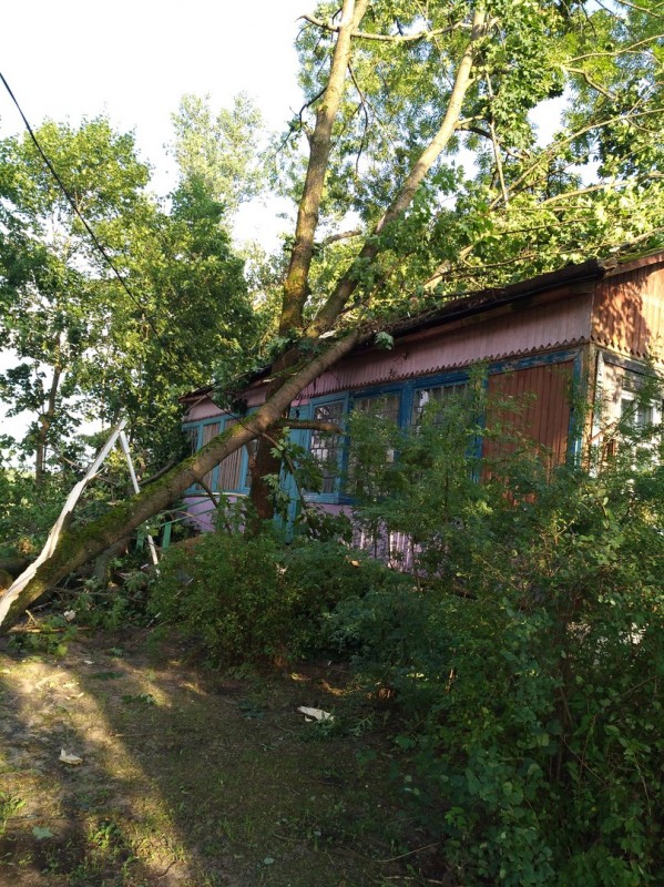 Деревья на машинах и деревни без света. МЧС о последствиях грозового фронта в Вилейке 2 августа (фото, видео)