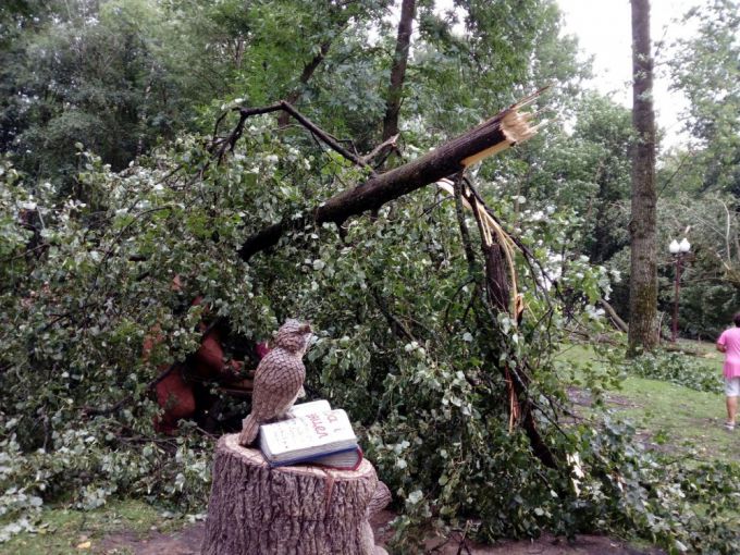 Деревья на машинах и деревни без света. МЧС о последствиях грозового фронта в Вилейке 2 августа (фото, видео)