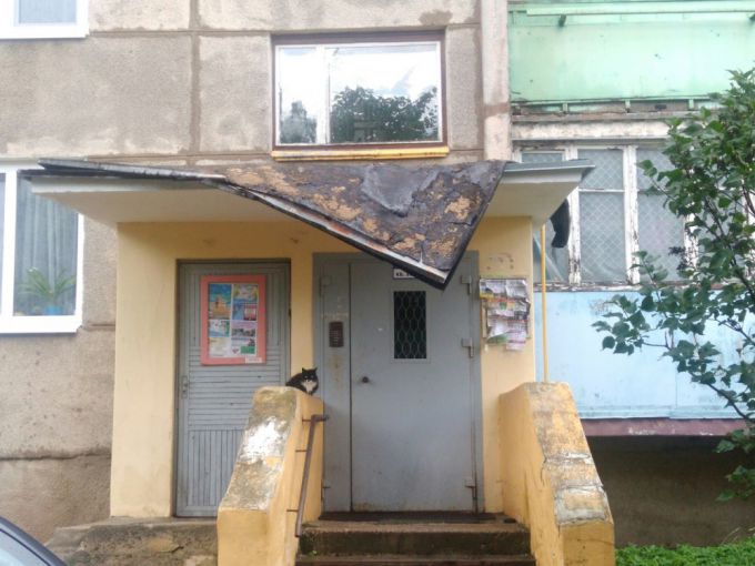 Деревья на машинах и деревни без света. МЧС о последствиях грозового фронта в Вилейке 2 августа (фото, видео)