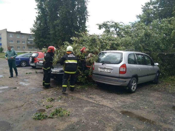 Деревья на машинах и деревни без света. МЧС о последствиях грозового фронта в Вилейке 2 августа (фото, видео)