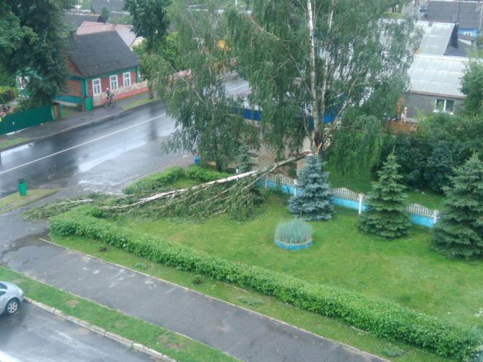 Ветер срывал крыши, ломал заборы и деревья – непогода в Вилейке 2 августа (фото)