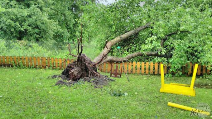 Ветер срывал крыши, ломал заборы и деревья – непогода в Вилейке 2 августа (фото)