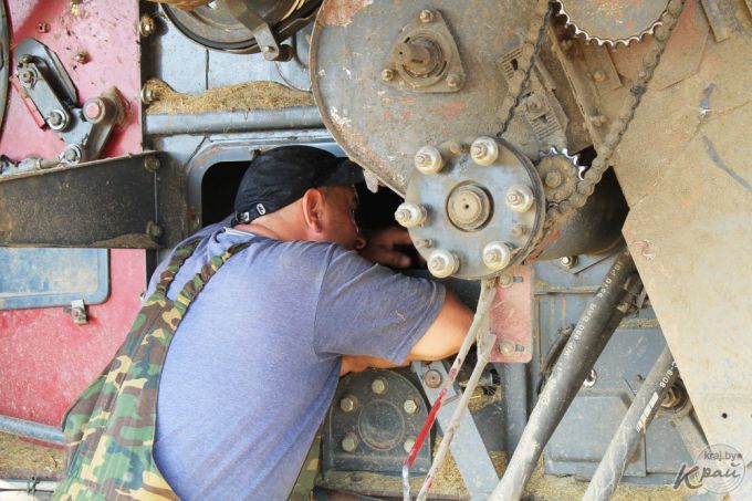 «После работы хватает сил только душ принять!» Репортаж с поля под Молодечно, где комбайнеры убирают хлеб (фото)