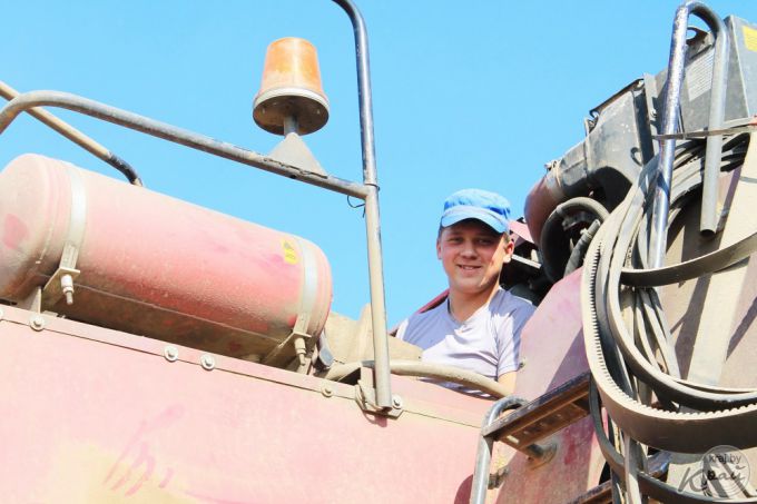 «После работы хватает сил только душ принять!» Репортаж с поля под Молодечно, где комбайнеры убирают хлеб (фото)