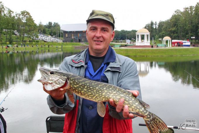Самую крупную рыбу – щуку в 63,5 см – на турнире в Молодечно выловил Александр Соболевский (фото, видео)