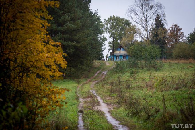 Испугавшись выстрелов, коровы разнесли полхлева. Фермеры купили хутор на Сморгонщине, оказалось – рядом стреляют (фото)