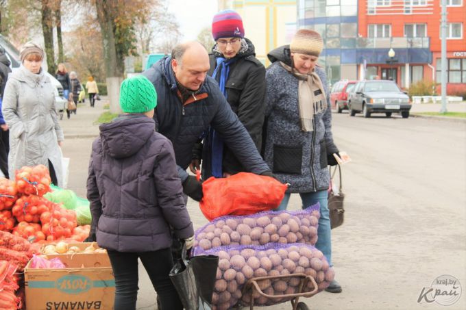 «Часть заквасим, а остальное – на борщи». Вилейчане на региональной ярмарке мешками разметали капусту (фото)