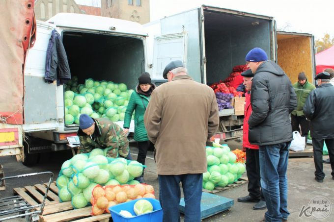 «Часть заквасим, а остальное – на борщи». Вилейчане на региональной ярмарке мешками разметали капусту (фото)