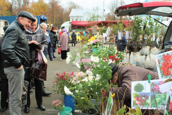 «Часть заквасим, а остальное – на борщи». Вилейчане на региональной ярмарке мешками разметали капусту (фото)