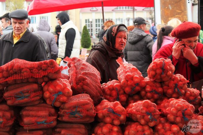 «Часть заквасим, а остальное – на борщи». Вилейчане на региональной ярмарке мешками разметали капусту (фото)