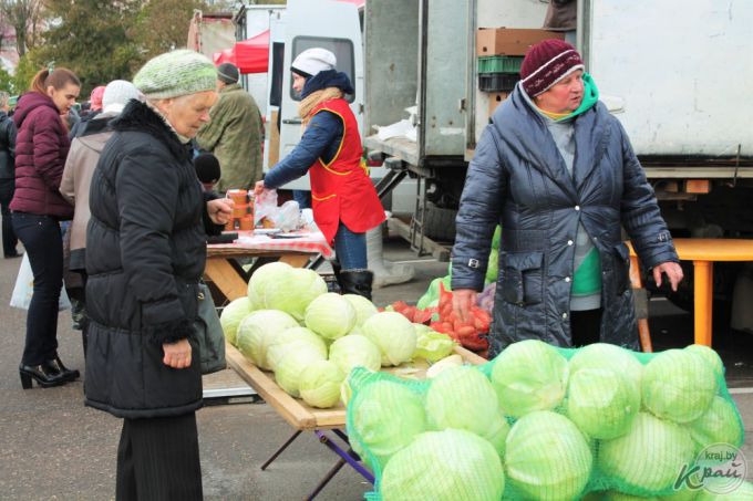 «Часть заквасим, а остальное – на борщи». Вилейчане на региональной ярмарке мешками разметали капусту (фото)