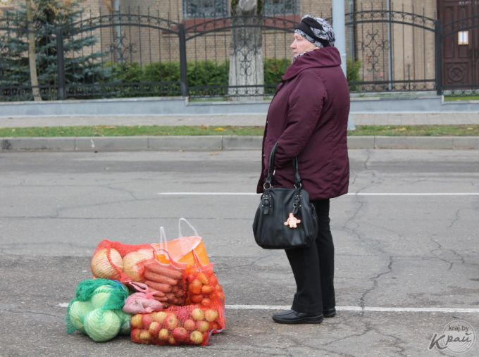 «Часть заквасим, а остальное – на борщи». Вилейчане на региональной ярмарке мешками разметали капусту (фото)