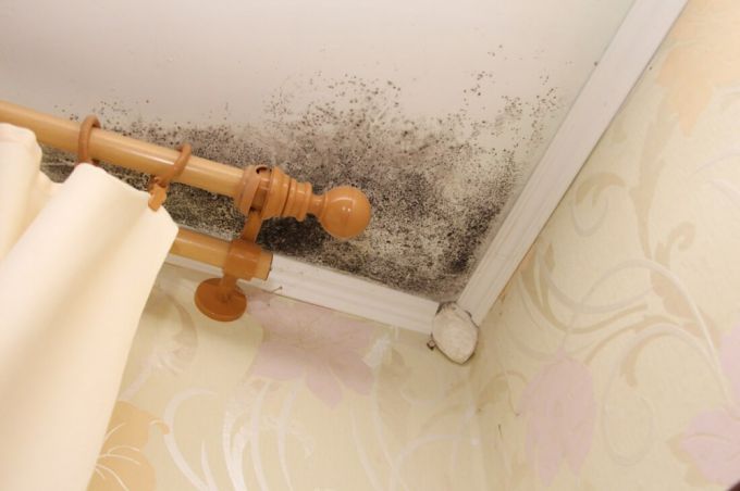 "Нас не слышат". Жители Носилово Молодечненского района просят коммунальников привести их жилье в порядок (фото)