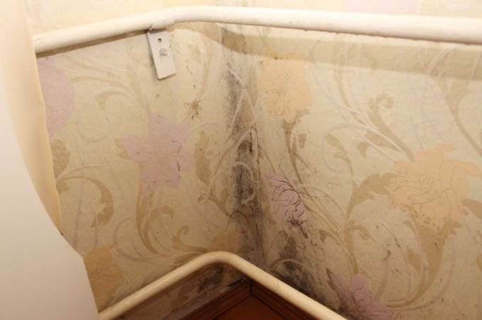 "Нас не слышат". Жители Носилово Молодечненского района просят коммунальников привести их жилье в порядок (фото)