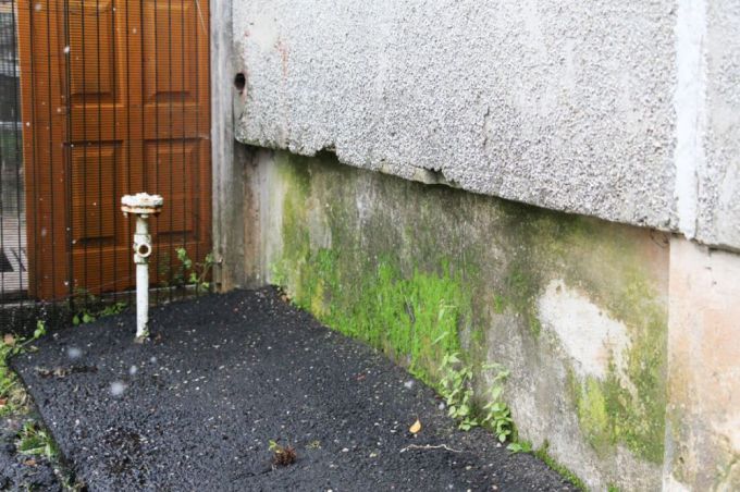 "Нас не слышат". Жители Носилово Молодечненского района просят коммунальников привести их жилье в порядок (фото)