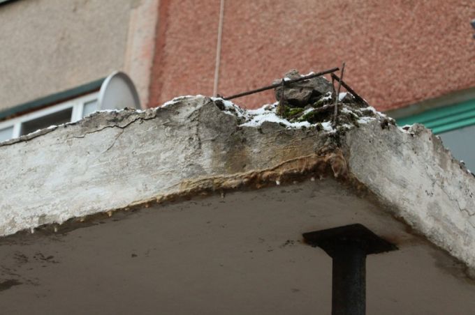 Территория бедствия. Чем недовольны жители деревни Турец-Бояры в Молодечненском районе (фото)