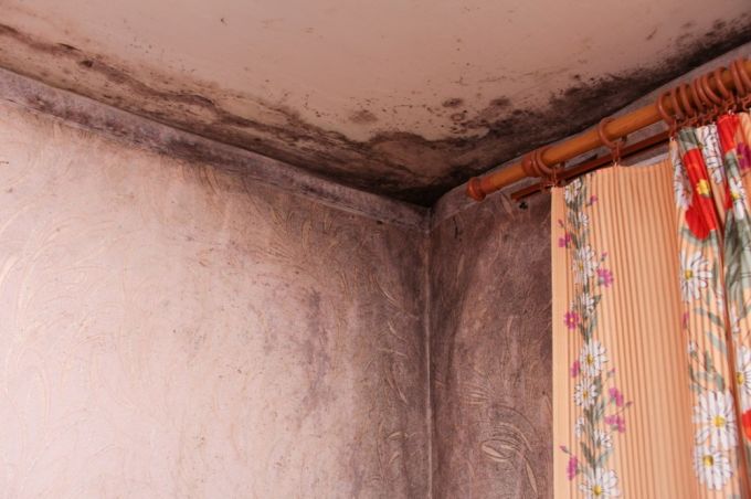 Территория бедствия. Чем недовольны жители деревни Турец-Бояры в Молодечненском районе (фото)