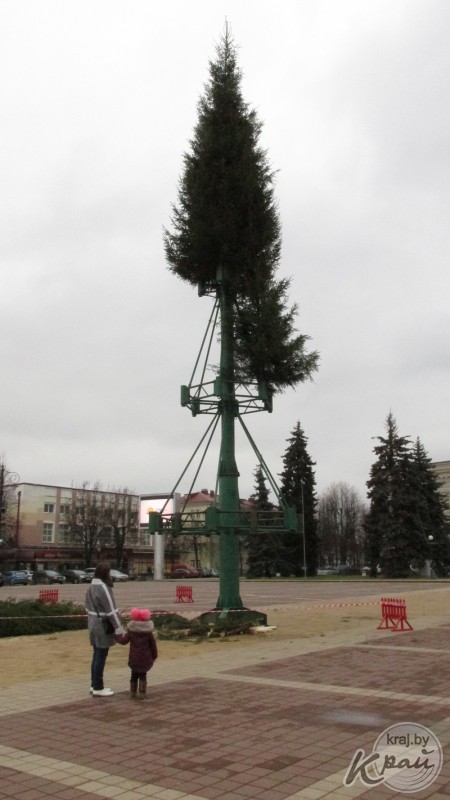 Основную новогоднюю елку на Центральной площади в Молодечно собирают из 50 крохотных елочек(фото)