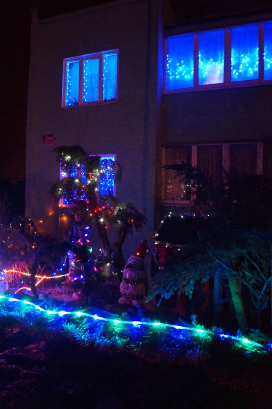 Диплом за фантазию