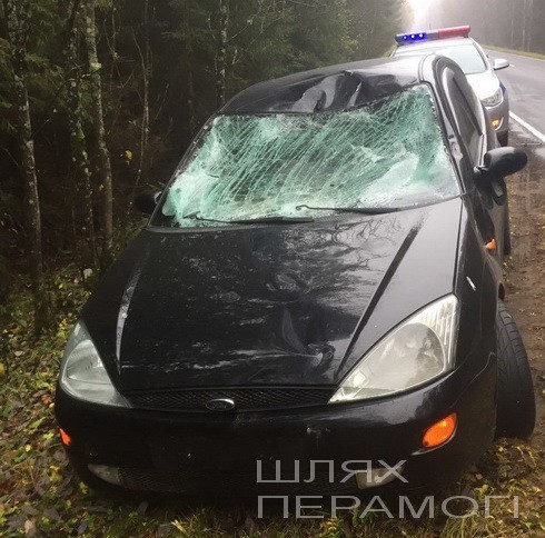 Вилейчанин вовлек 15-летних в наркоманию и половые отношения, часть дороги Р28 Минск-Нарочь станет платной. Обзор недели