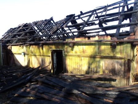 За сутки в Могилевской области произошло четыре пожара, 12 раз спасатели выезжали на тушение сухой растительности