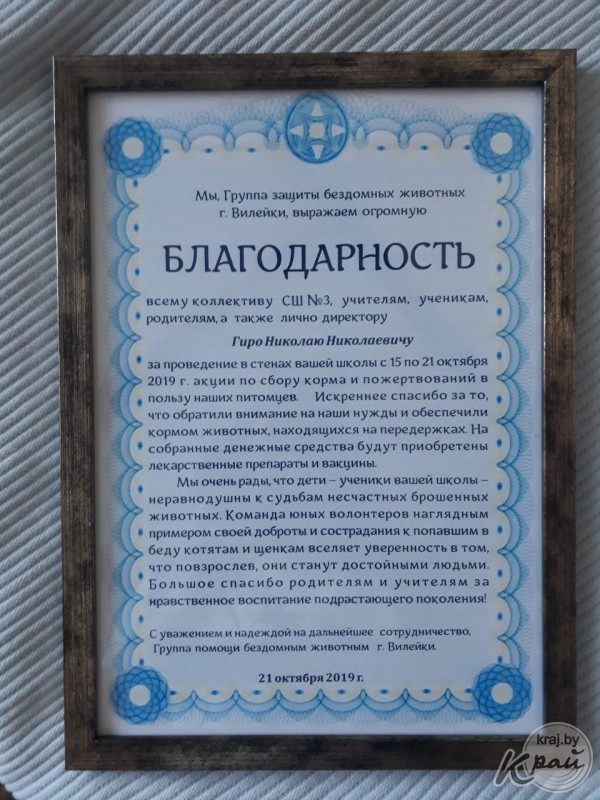 Как в Вилейке прошла акция «Протяни руку лапе»