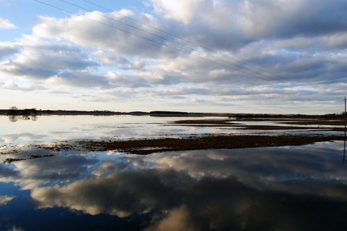 Проня выйшла з берагоў