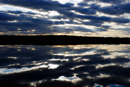 Проня выйшла з берагоў