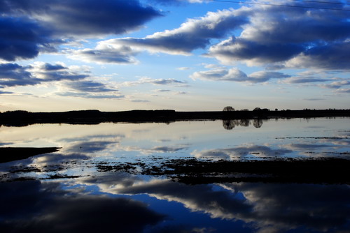Проня выйшла з берагоў