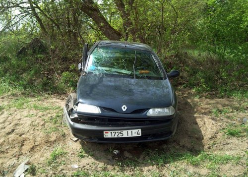 Столкнулись два "француза": серьезная авария около деревни Пески (фото)