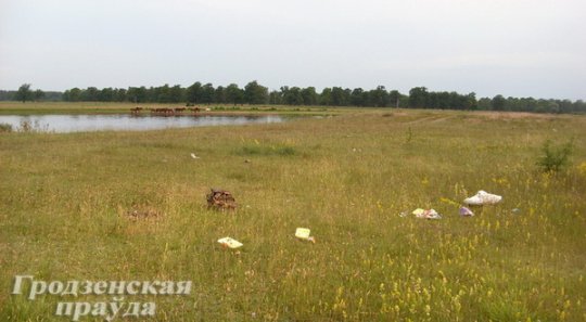 Живописный берег Немана в Щучинском районе превратился в мусорную свалку